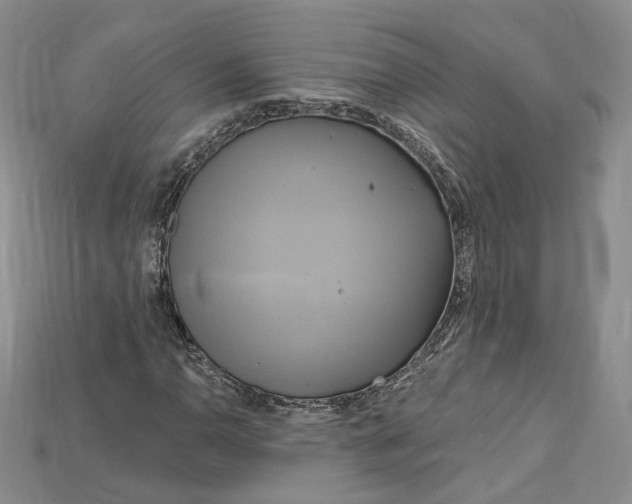 X0000114671110200911121327