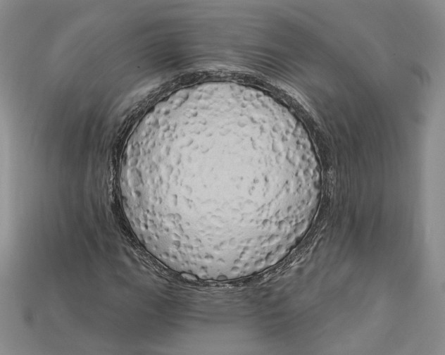 X0000114671111200911121327