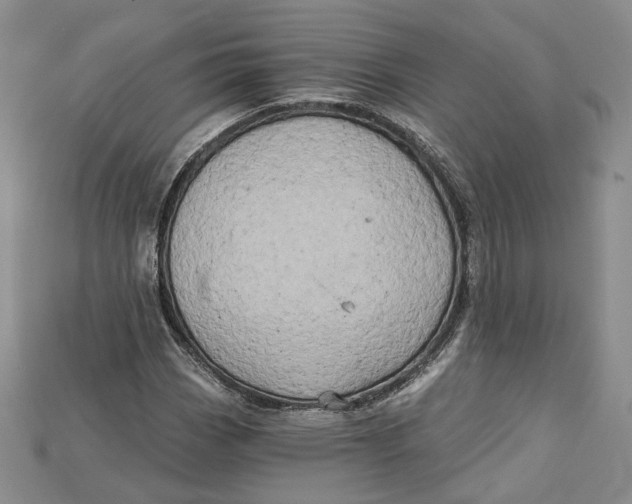 X0000114671113200911121327