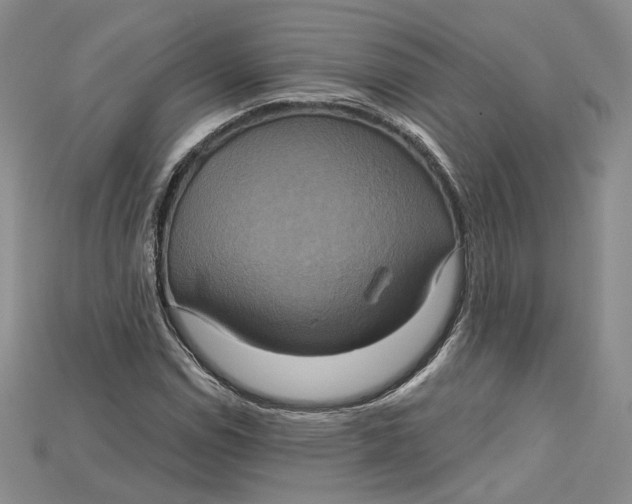 X0000114671114200911121327