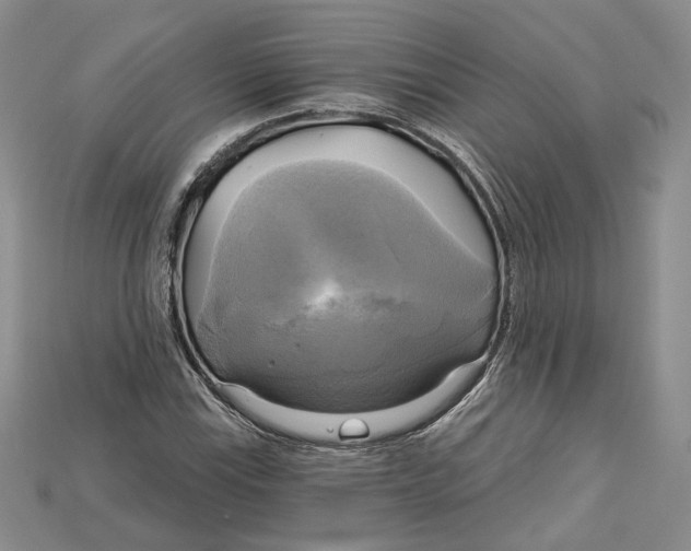 X0000114671115200911121327