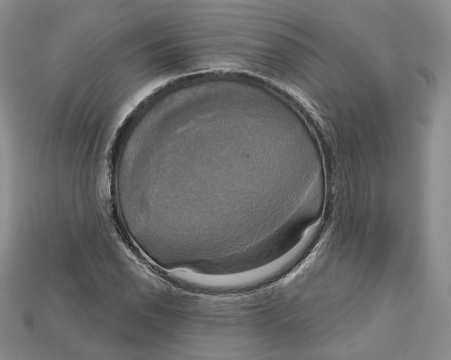 X0000114671118200911121327