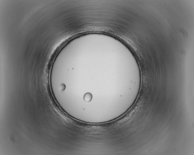 X0000114671119200911121327