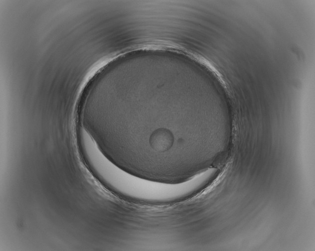 X0000114671122200911121327