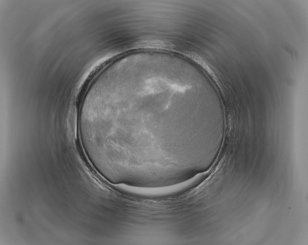 X0000114671123200911121327