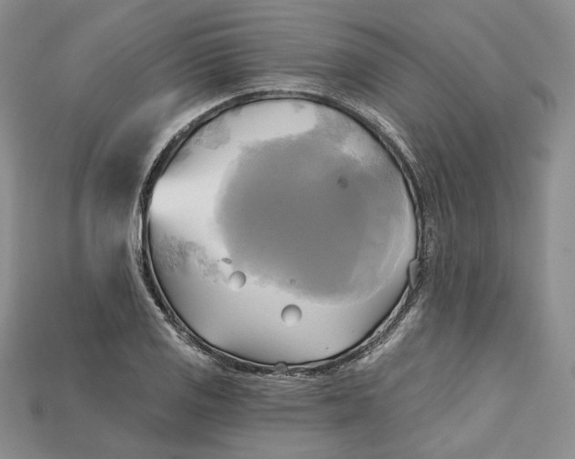 X0000114671125200911121327