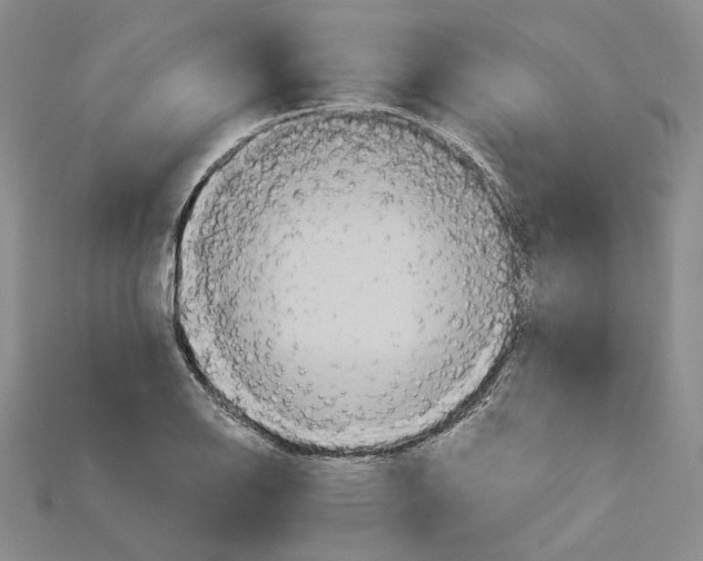 X0000114671126200911121327