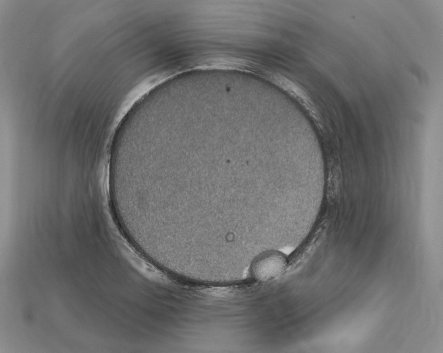 X0000114671130200911121327