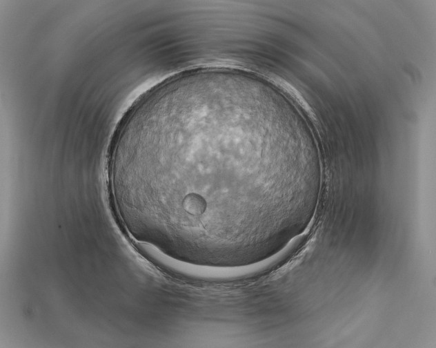 X0000114671133200911121327