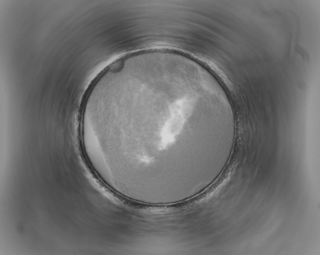 X0000114671134200911121327