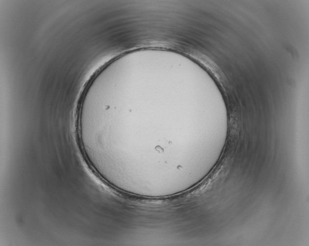 X0000114671135200911121327