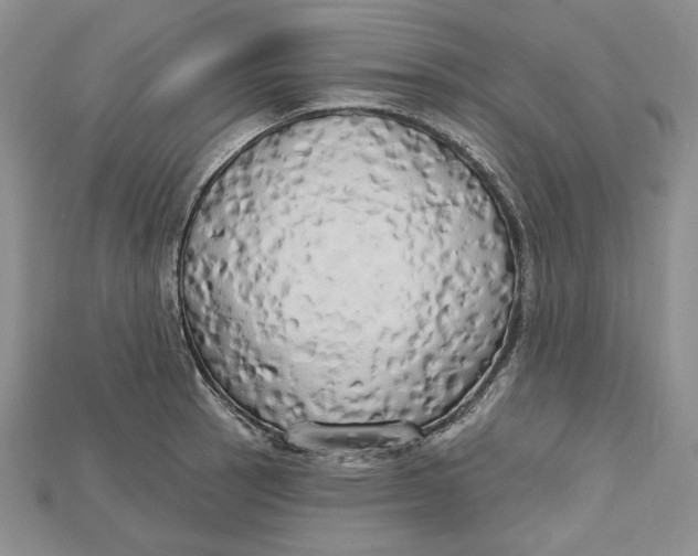 X0000114671137200911121327