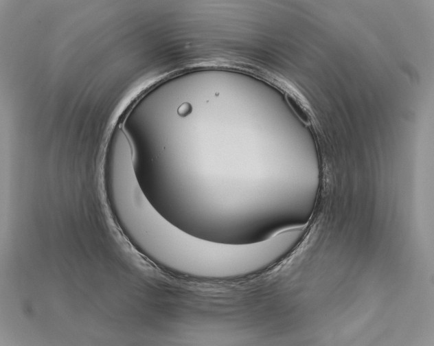 X0000114671138200911121327