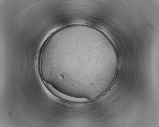 X0000114671139200911121327