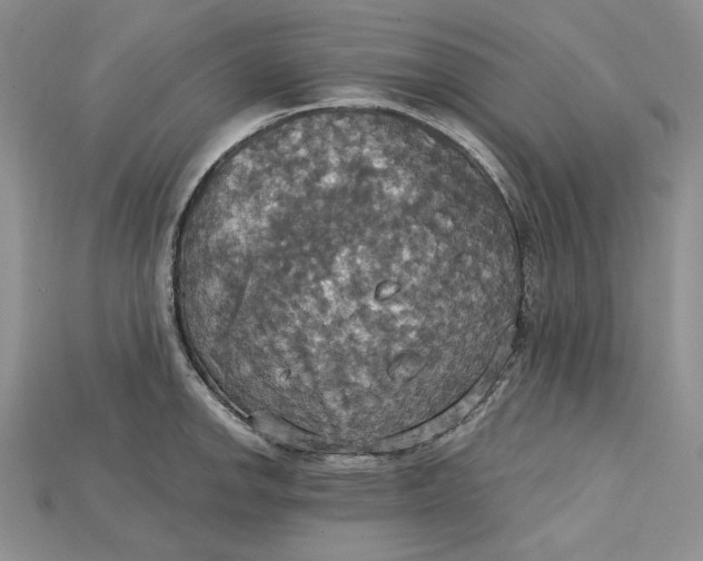 X0000114671142200911121327