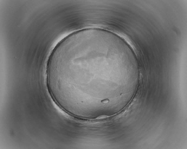 X0000114671143200911121327