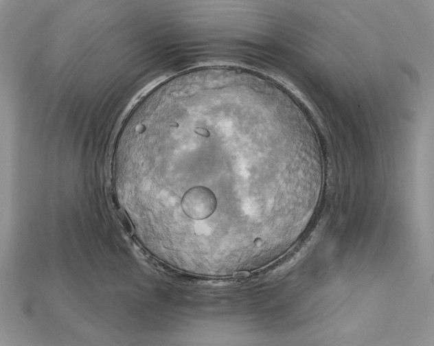 X0000114671145200911121327