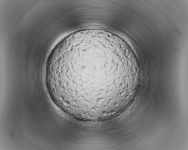 X0000114671147200911121327