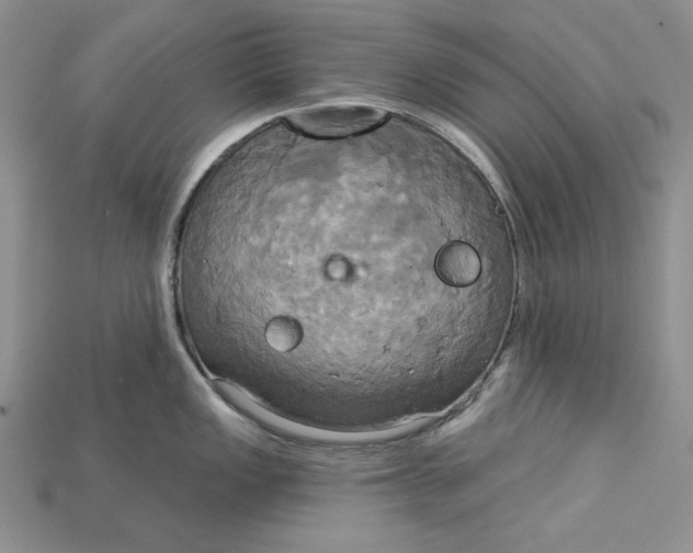 X0000114671149200911121327