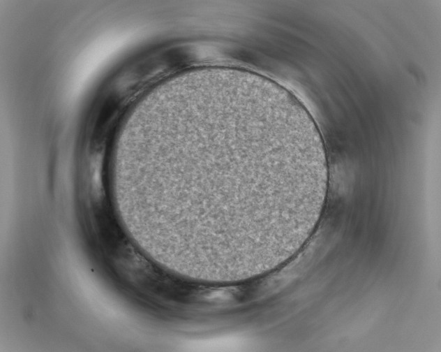 X0000114671150200911121327