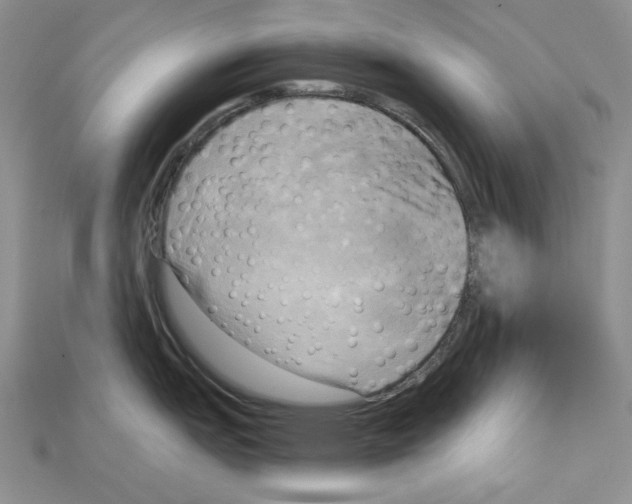 X0000114671151200911121327