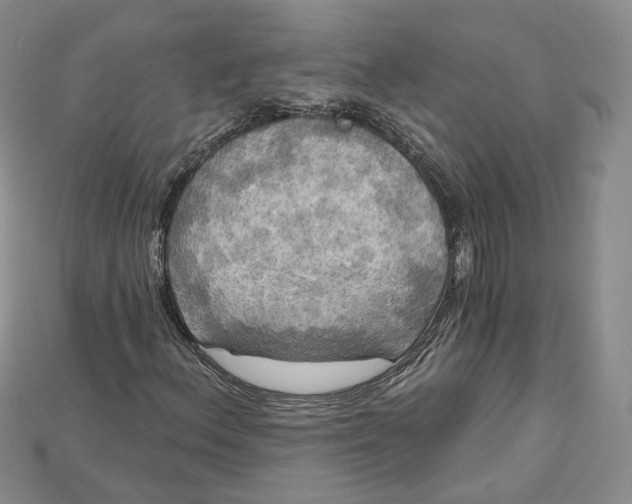 X0000114671156200911121327