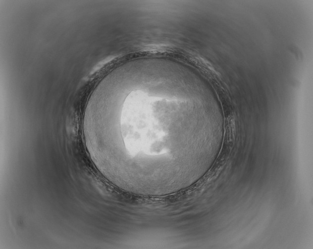 X0000114671158200911121327