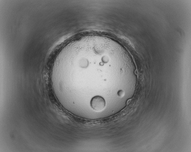 X0000114671159200911121327