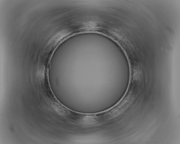 X0000114671161200911121327