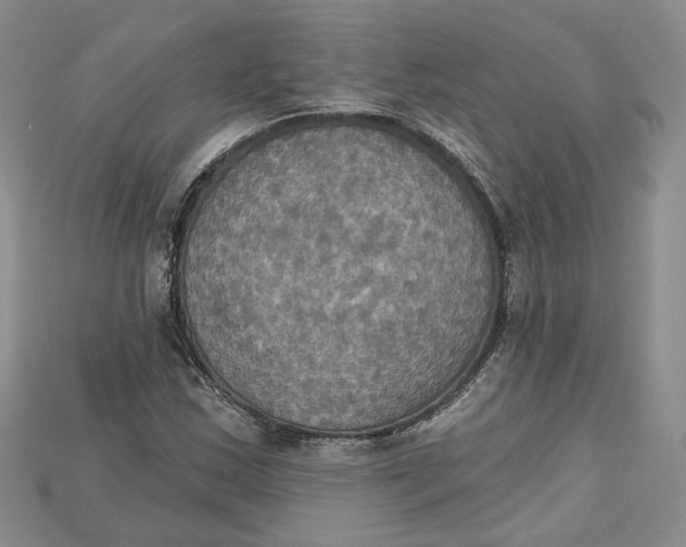 X0000114671163200911121327