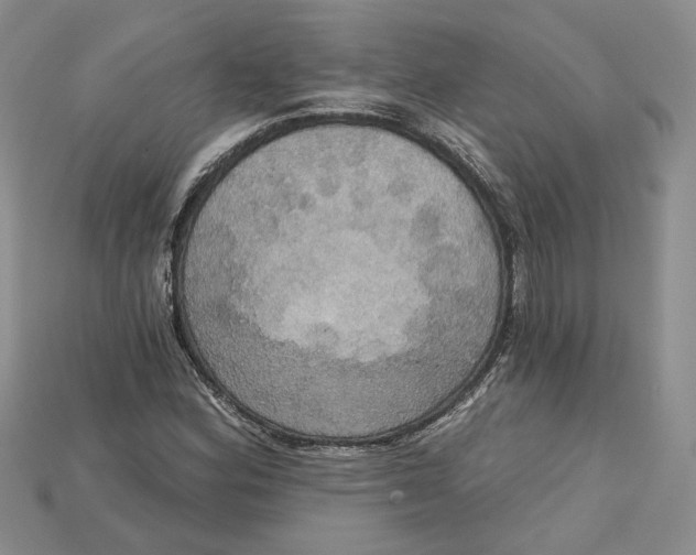 X0000114671164200911121327