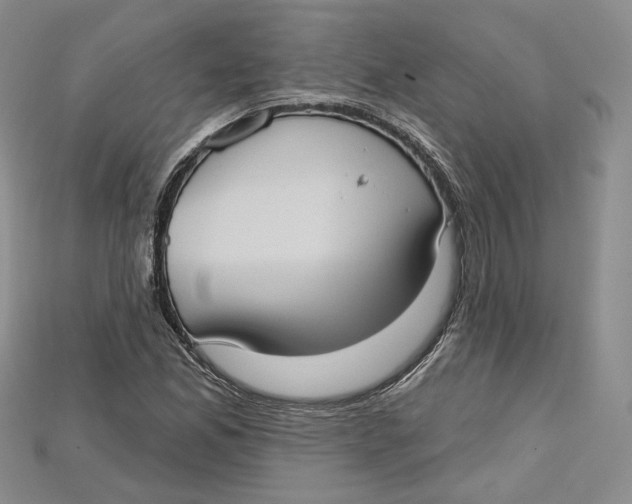 X0000114671165200911121327