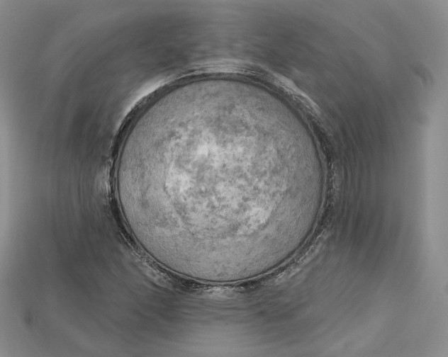 X0000114671166200911121327