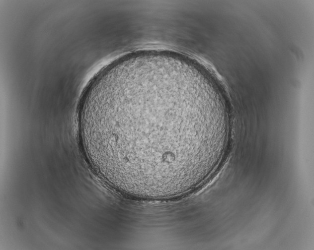 X0000114671167200911121327