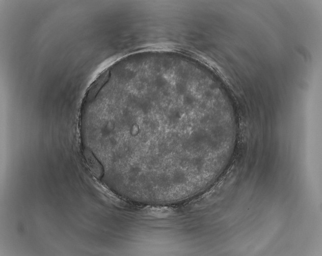 X0000114671168200911121327