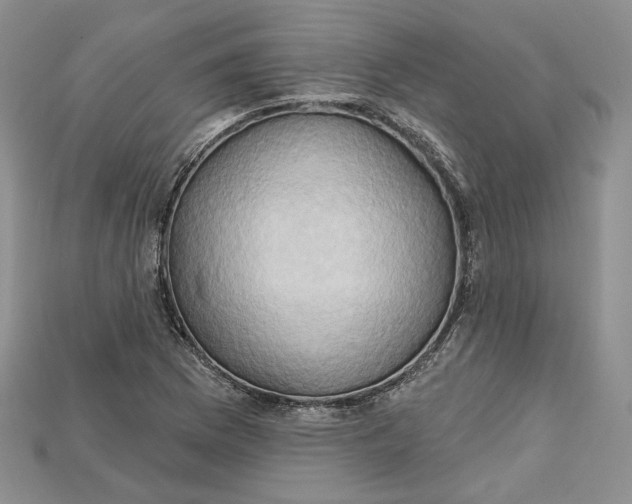 X0000114671169200911121327