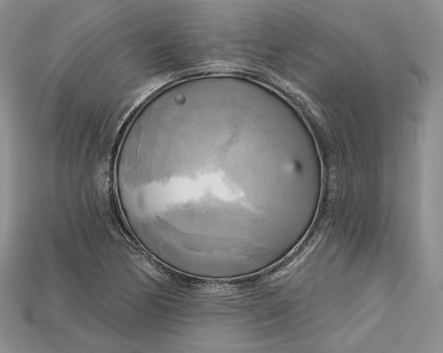 X0000114671170200911121327