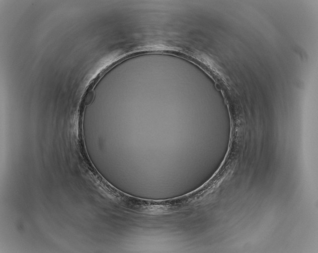 X0000114671173200911121327