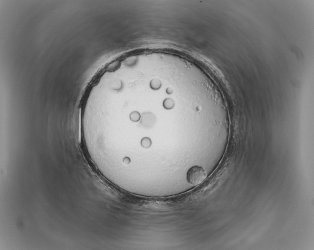 X0000114671175200911121327