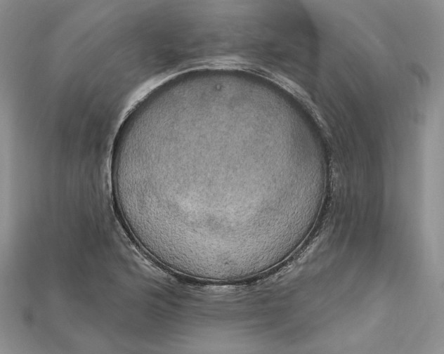 X0000114671176200911121327