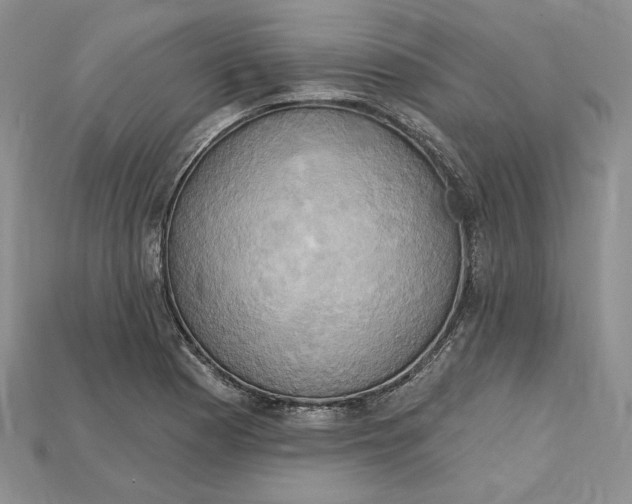 X0000114671177200911121327