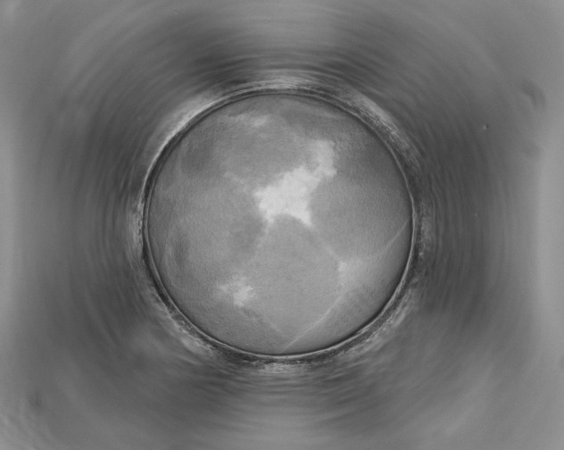 X0000114671178200911121327