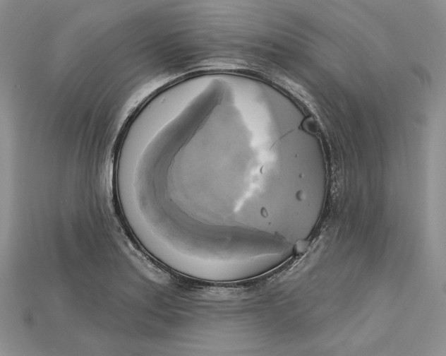 X0000114671179200911121327