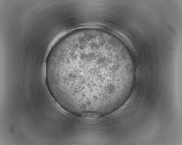 X0000114671180200911121327