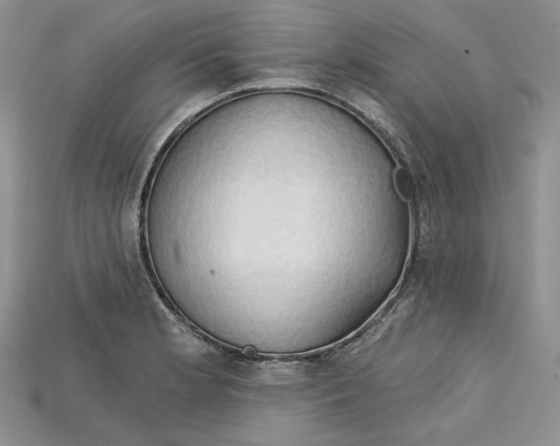 X0000114671181200911121327