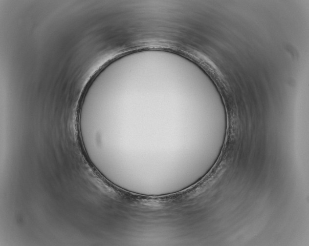 X0000114671182200911121327