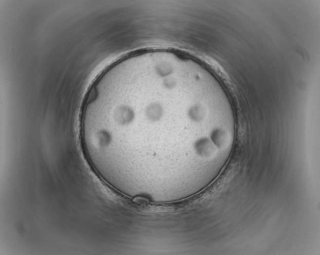 X0000114671183200911121326