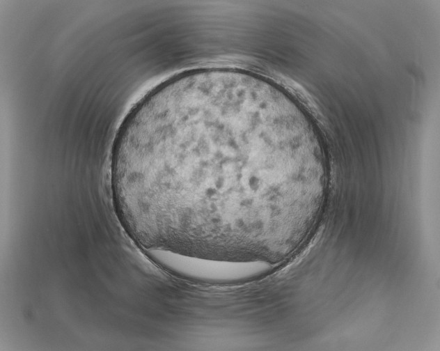 X0000114671184200911121326