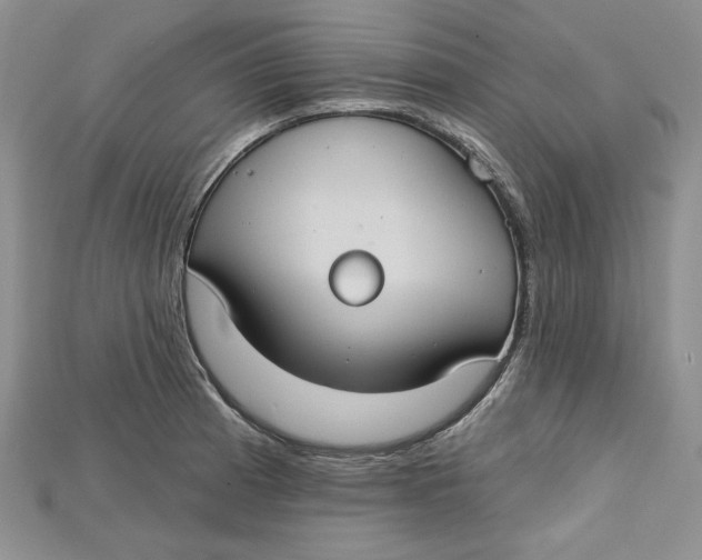 X0000114671185200911121326