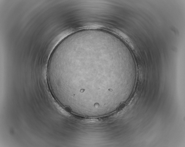 X0000114671186200911121326